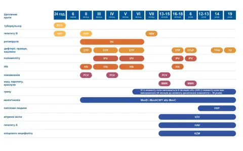 Harmonogram szczepień wzw b i innych chorób: BCG, HBV, RV, DTP, IPV, Hib, PCV, MMR, HVP, VZV, HAV, KZM.